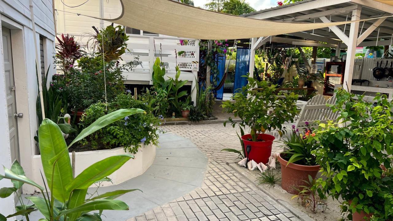 Blue Wave Guest House Cayo Caulker Exterior foto